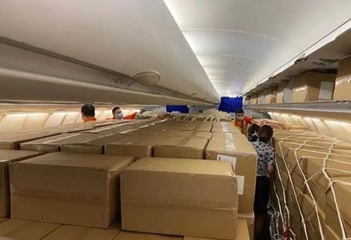 東航“客改貨”包機首航武漢-洛杉磯，國際包機服務邁入全鏈條整合新階段